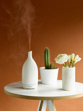 Load image into Gallery viewer, Porcelain Diffuser